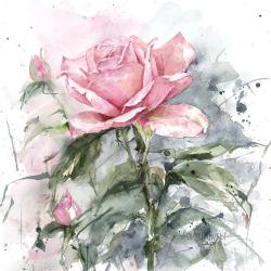 akwarela róża,obraz,lipowska,malarstwo,kwiaty - Ilustracje, rysunki, fotografia - Wyposażenie wnętrz