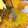 Wisiory dębowe liście,jesienny,wisior z labradorytami