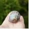 Pierścionki Ziemia srebrny pierścień z jaspisem