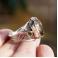 Pierścionki srebrny pierścionek z cytrynem ognistym