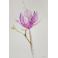 Obrazy kwiaty,akwarela,magnolia