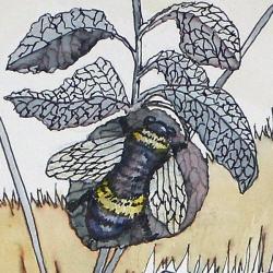 pszczoła,owady,ilustracja,rysunek,na ścianę, - Ilustracje, rysunki, fotografia - Wyposażenie wnętrz