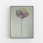 Obrazy nowoczesny minimalistyczny obraz,fioletowy mak
