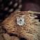 Broszki srebrna broszka kotek,srebrny pin kot