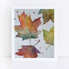Obrazy akwarela,liście,jesień