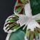 Wisiory srebrny naszyjnik motyl,zielony wisior z ceramiką