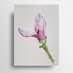 akwarela,magnolia - Obrazy - Wyposażenie wnętrz